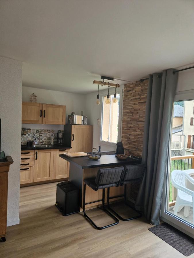 Appartement Renove Proche De Luz Saint Sauveur 1Chambre Et 1 Coin Cabine Luz-Saint-Sauveur Zewnętrze zdjęcie